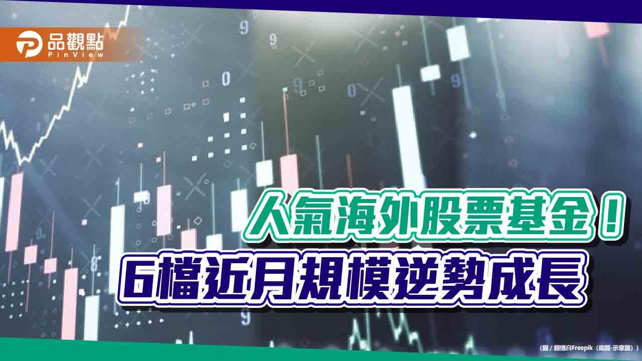 百億等級海外股票基金出列 醫療生化、印度、美股基金逆勢吸金!