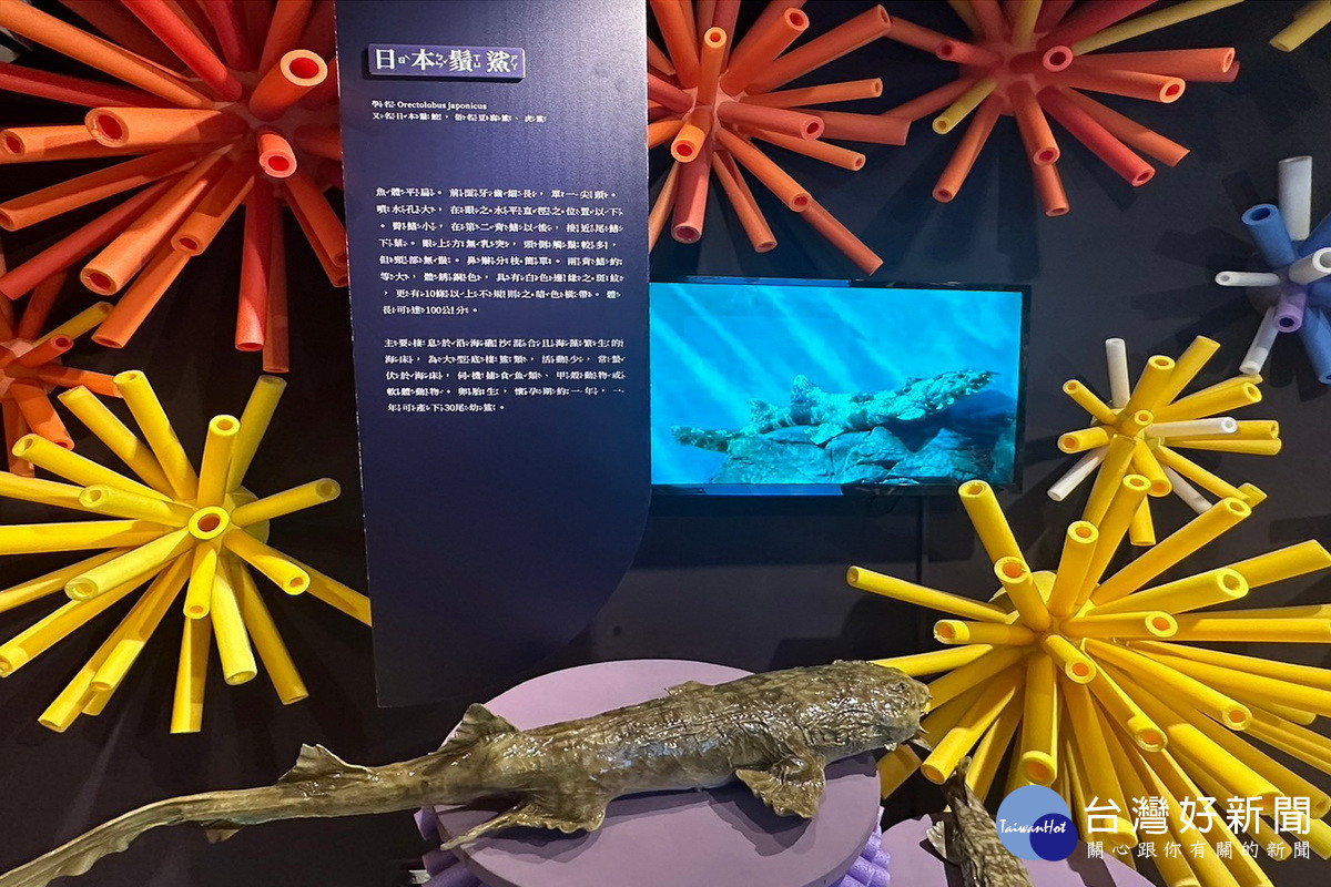 桃園市政府食魚教育貨櫃展於竹圍漁港精彩登場。<br /><br />