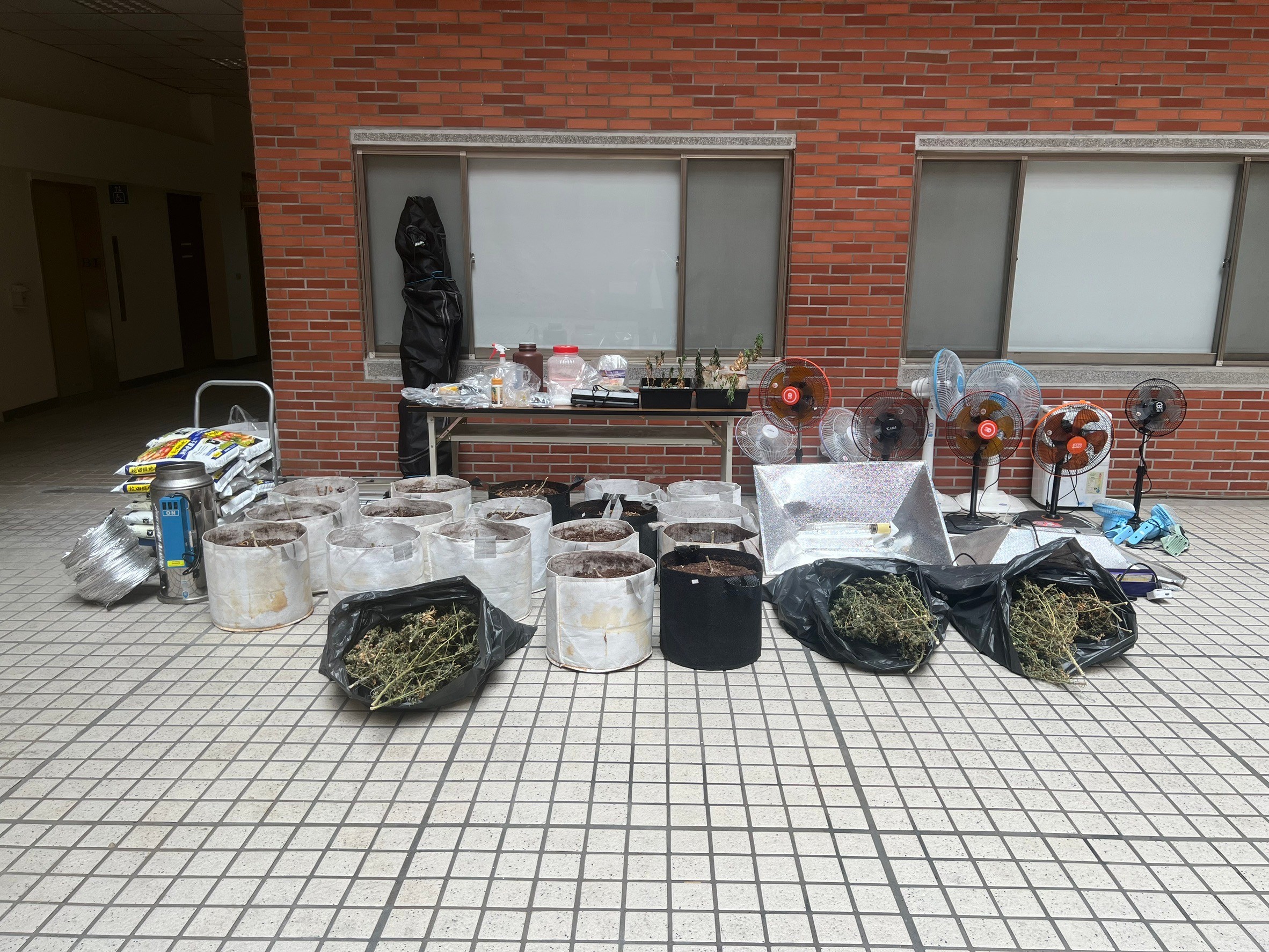 ▲男子從網路自學大麻種植技術，租用員林市山腳路一棟透天厝種起大麻，彰化縣警局刑警大隊查獲大批大麻植株及大麻油、大麻花等加工品。（彰化縣警局提供）