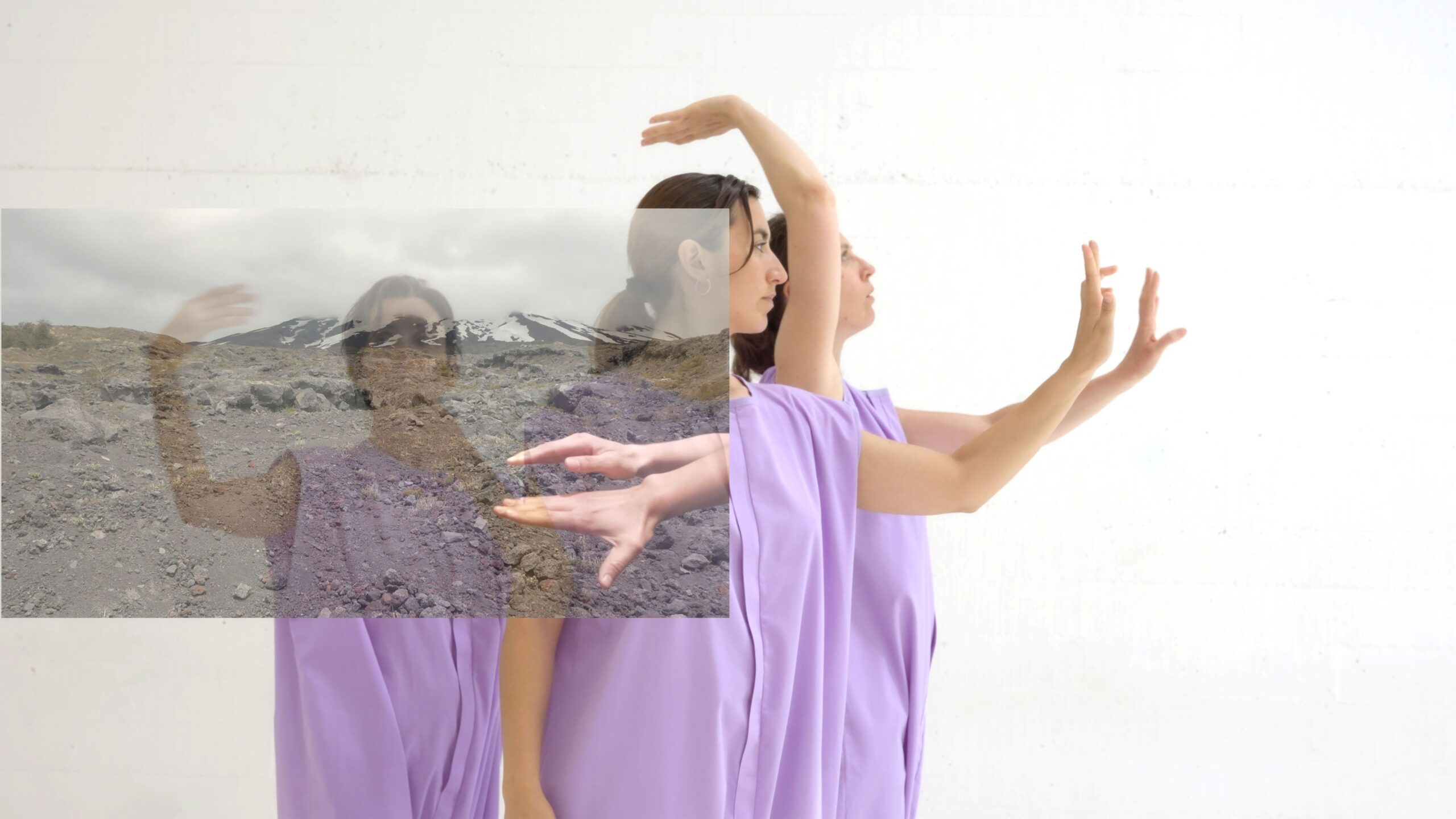 高美館新展《山演算》探索生態與科技的有機循環 高美館新展《山演算》探索生態與科技的有機循環