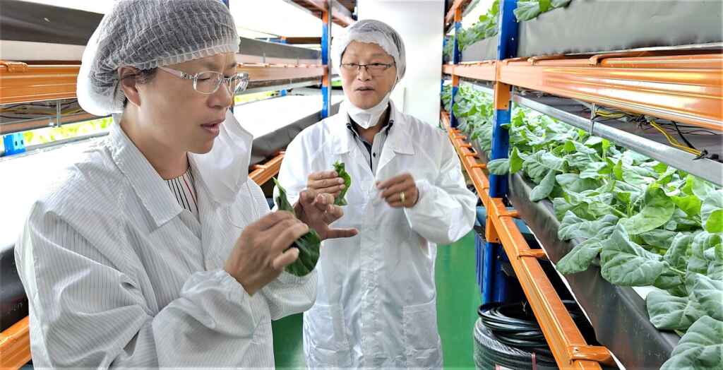 ▲彰化縣長王惠美率團參訪新加坡元通綠能植物工廠,獲得新加坡政府肯定並擁有全球多項認證,其技術有助於解決糧食危機,也期盼「彰化之光」返鄉投資。(彰化縣政府提供)