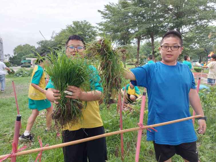 ▲學生在農園透過晴耕雨讀實踐及傳承客家勤奮努力精神。（記者林明佑翻攝）