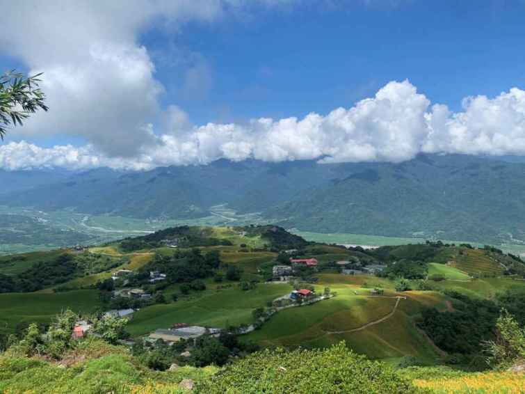 ▲金針花季富里鄉農會以忘憂大地感謝祭為主題，結合在地「茶與竹子」體驗活動將這兩大當地特色產業完美結合，打造出全新的觀光體驗。（花蓮縣政府提供）