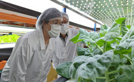 彰化之光吳宇建 全球首創智慧植物工廠 兩人管理數百坪農業奇蹟