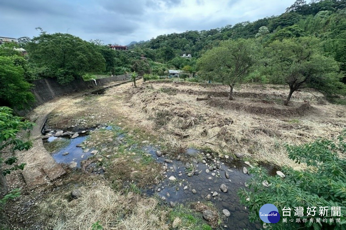 草嶺溪水環境營造工程施工前生態島(池塘荒廢) 。<br /><br />