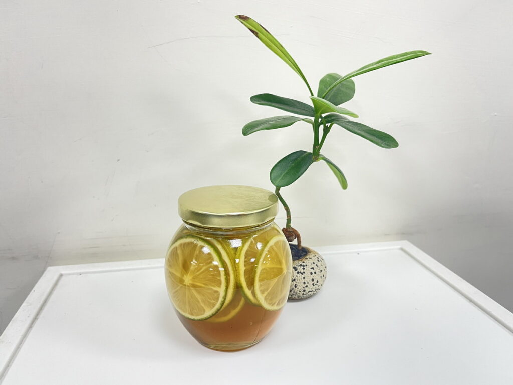 8月25日花博農民市集舉行「蜂蜜食農教育-蜂蜜釀檸檬手作DIY」