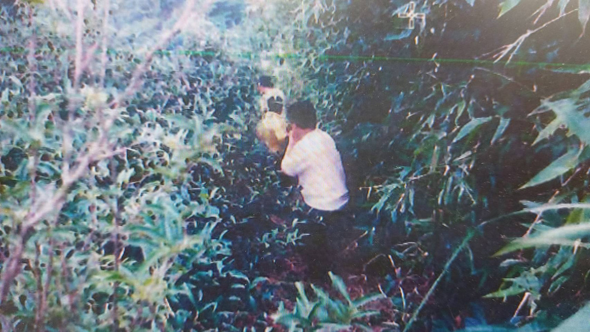 桃檢警正義不滅追求真相,偵破28年餘殺人棄屍命案。