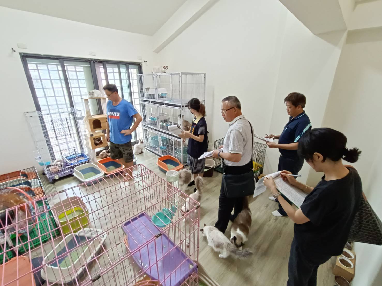 高市「特定寵物業查核評鑑」明日開跑 評鑑項目增至76項