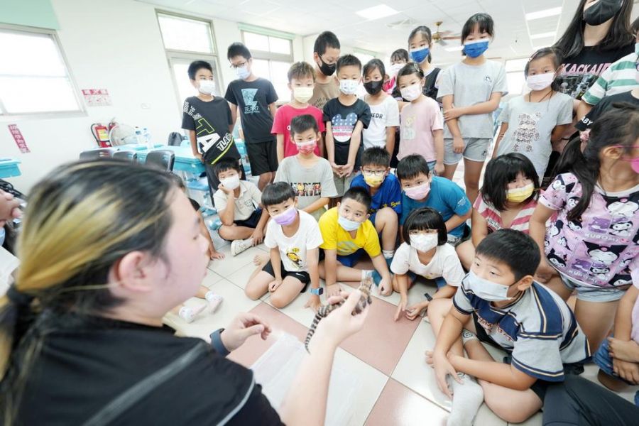 生命教育蛇和蜥蜴爬蟲動物上講堂 偏鄉課輔班瞬間沸騰
