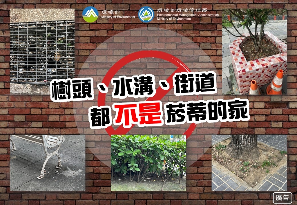 樹頭水溝街道不是菸蒂的家（圖：環境部環管署）