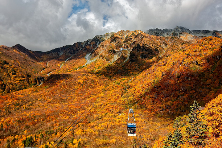 立山黑部的紅葉觀賞期長達近2個月,為日本第一。 圖:向日遊顧問有限公司/提供