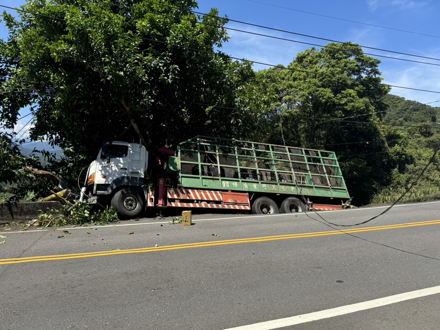 ▲新店區北宜公路稍早傳出1起交通事故,大貨車失控自撞護欄衝出馬路。(翻攝畫面)