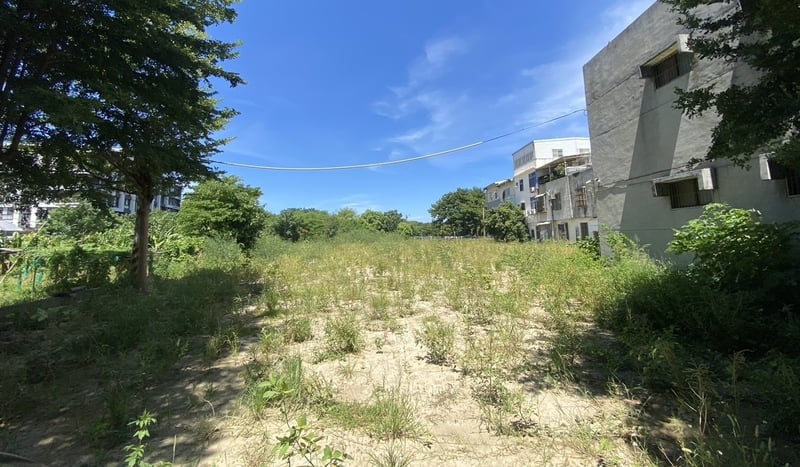柯文哲名下農地3月已整恢復農用,但時隔5個多月後卻看似荒廢、雜草叢生。中央社