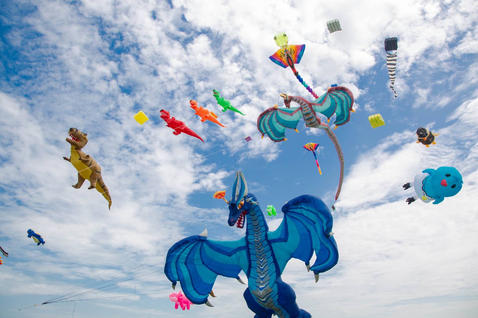 國際風箏節呼應龍年以「Dragon Day」為主題，帶來壯觀的龍風箏展演。（圖/記者黃溎芬翻攝）