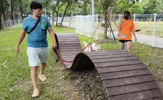 ▲高雄市「好伴公園」系列活動的毛爸媽們帶著毛孩在趣味闖關遊戲(記者李堂安翻攝)
