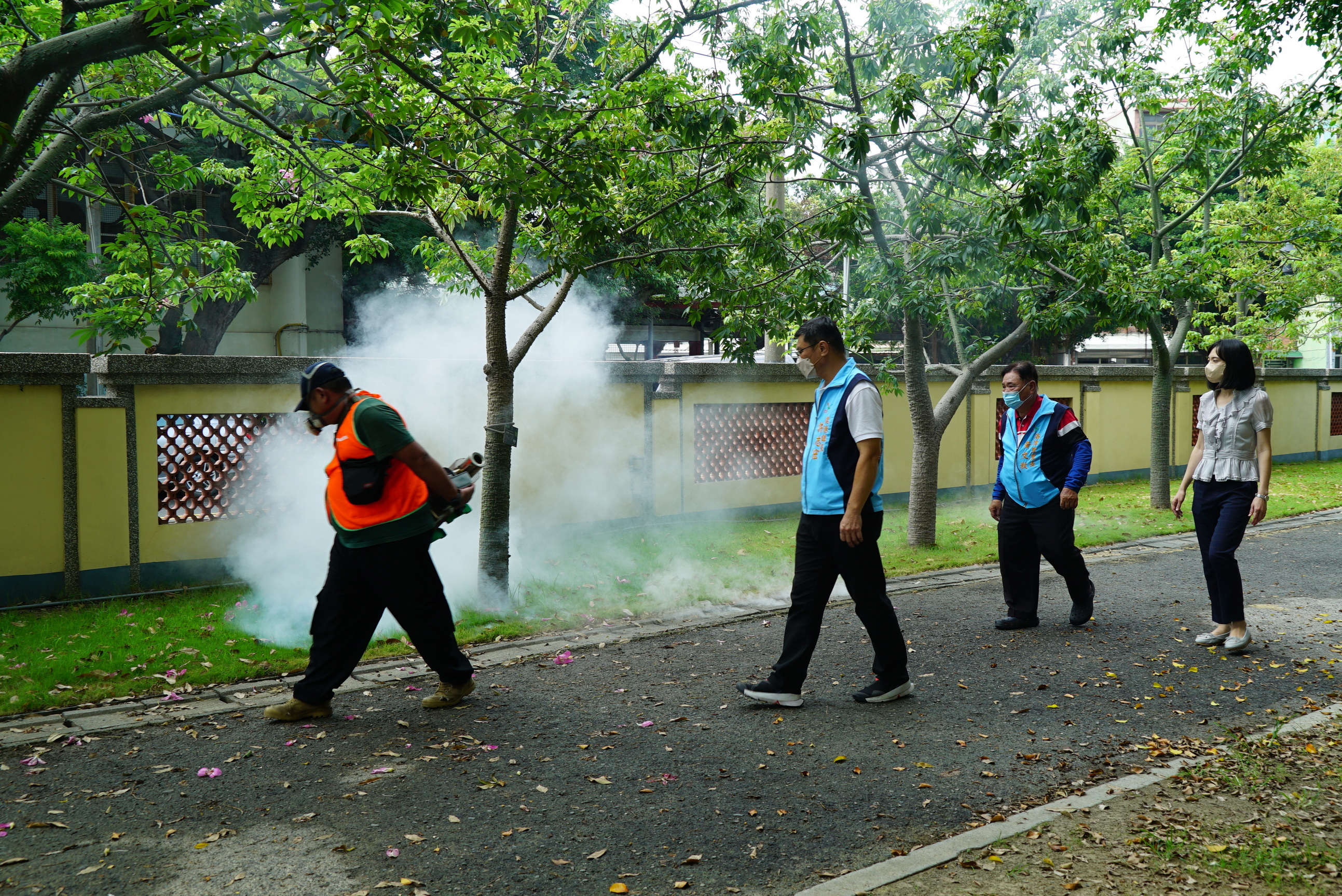 ▲由於近期午後豪雨頻繁,導致病媒蚊滋生環境優渥,鹿港鎮公所再度展開全鎮消毒噴藥工作。(記者張溎壕攝)