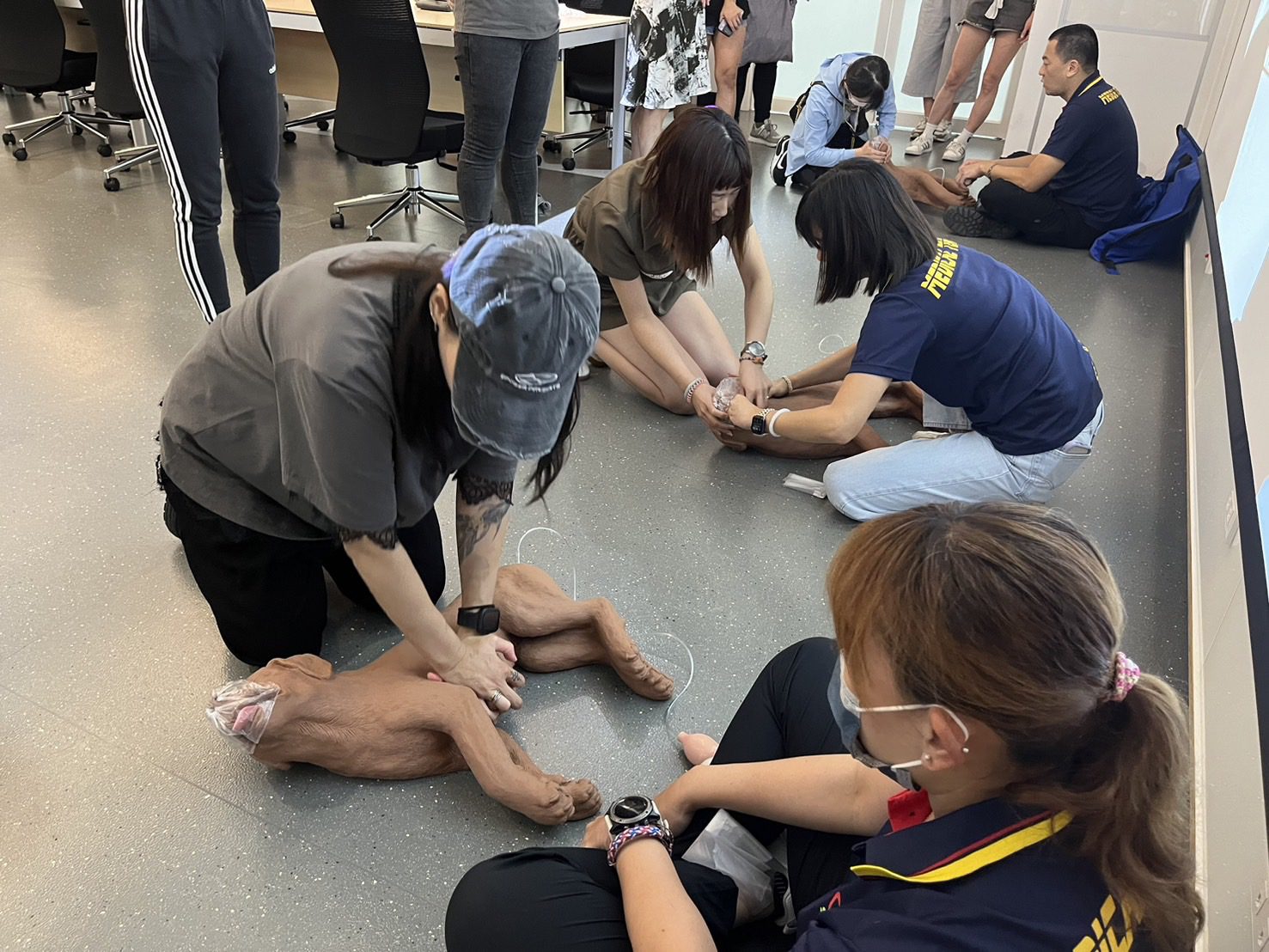8/26國際狗狗日　新北動保處推寵物CPR　把握黃金3分鐘
