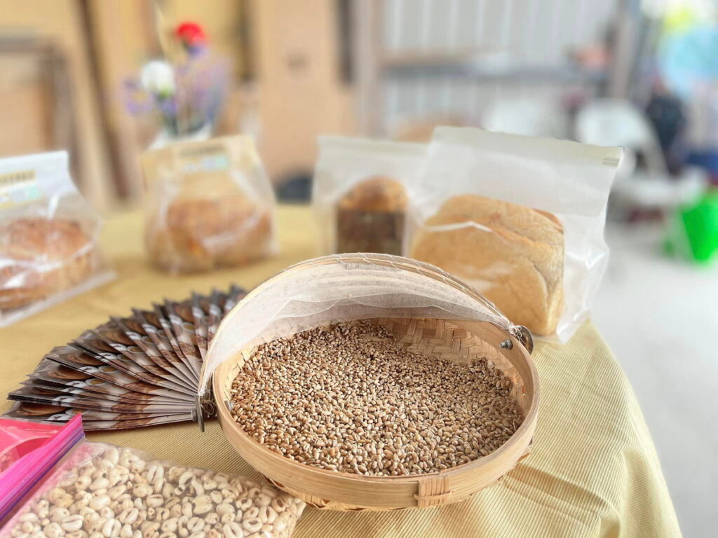 彰化大城鄉農會-麥