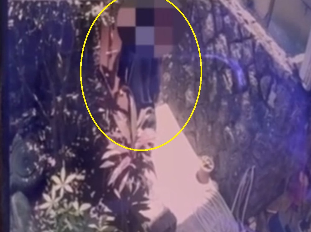 破窗入宅行竊勞力士表 士林警電眼逮白日賊 239 cnews204240826a07