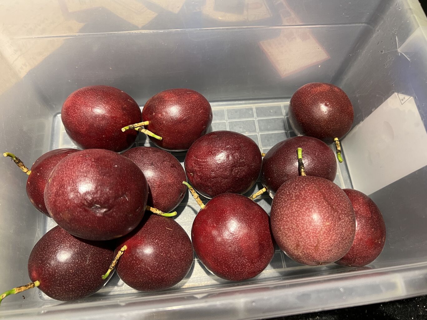 北市逮12蔬果農藥違規! 馬辣頂級鴛鴦鍋、台南海鮮會館、回田蔬苑上榜 240 北市逮12蔬果農藥違規! 馬辣頂級鴛鴦鍋、台南海鮮會館、回田蔬苑上榜 239
