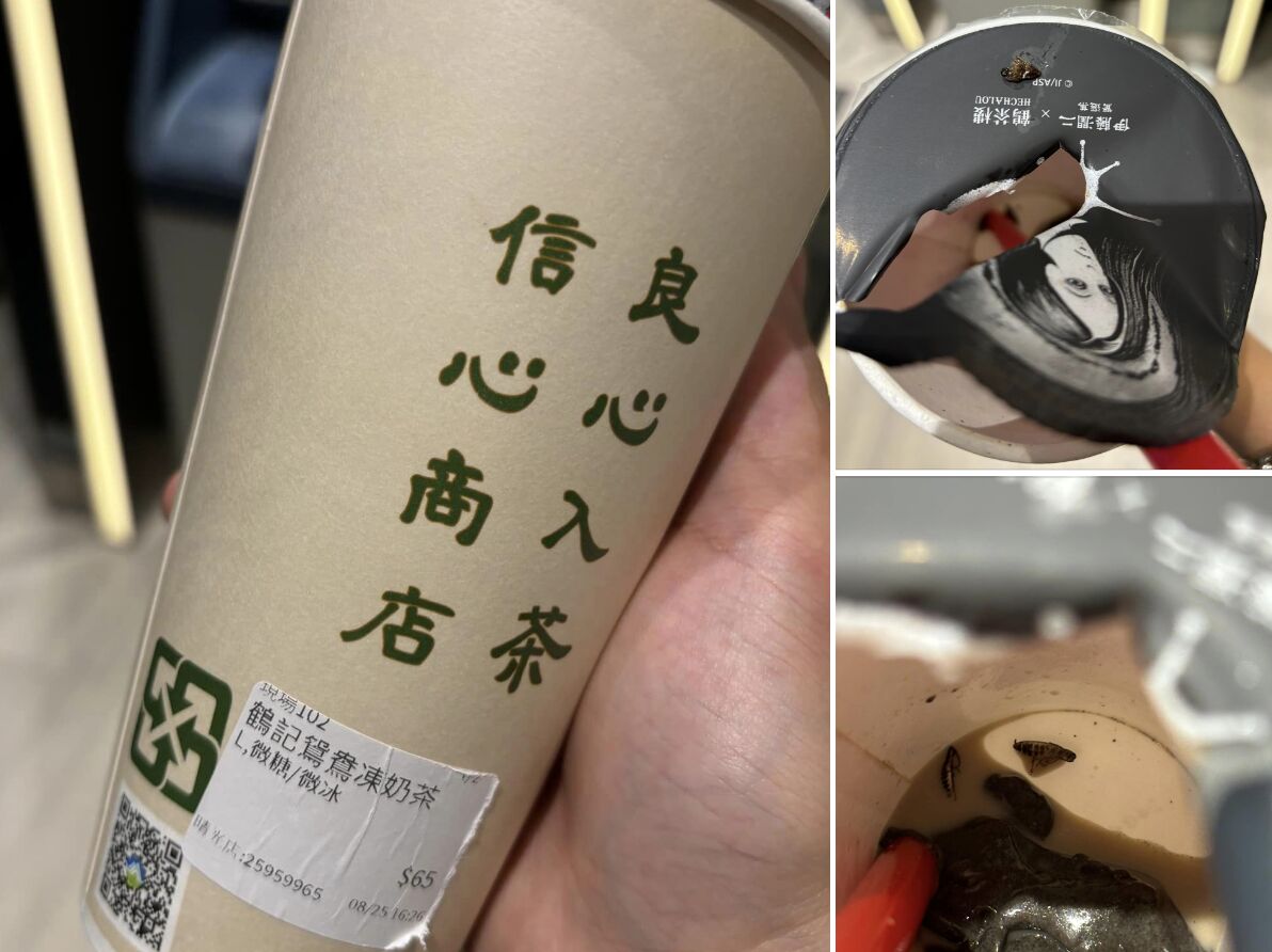 被爆「咬到蟑螂」鶴茶樓停業5天 北市照衝上門稽查結果出爐！ 207
