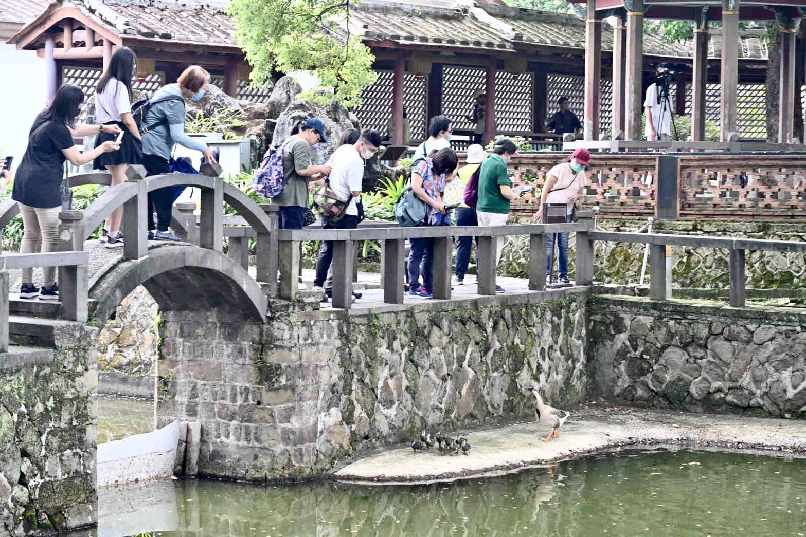 新北影視巡禮　帶領影迷探索經典取景地　金獎主持人陳明珠現身談經歷