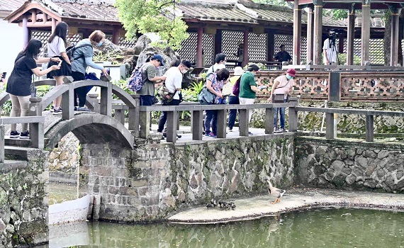 新北協拍帶路 影劇迷深入探索經典取景地