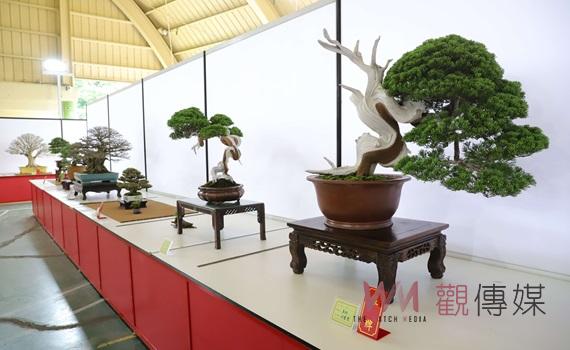 雲林全國盆栽邀請展盛大開幕 張麗善歡迎各界品味藝術之美
