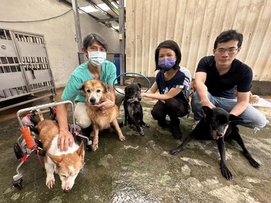 圖/中和動物之家設置犬貓長期照顧中心。(新北市政府動保處提供)