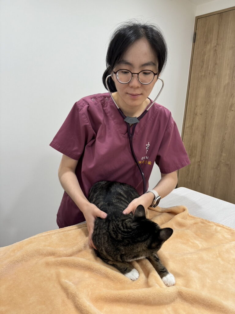 精準的體重管理計畫,會因貓犬的品種、年齡、性別、健康狀況以及是否有絕育的情況不同,需由獸醫師診斷與評估 (圖片來源:小王子動物醫院)