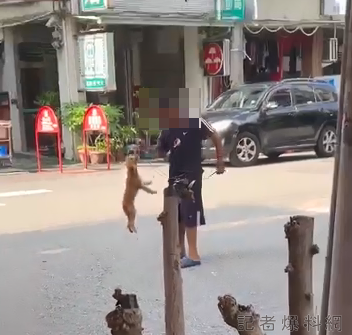 虐狗 男童 台中市