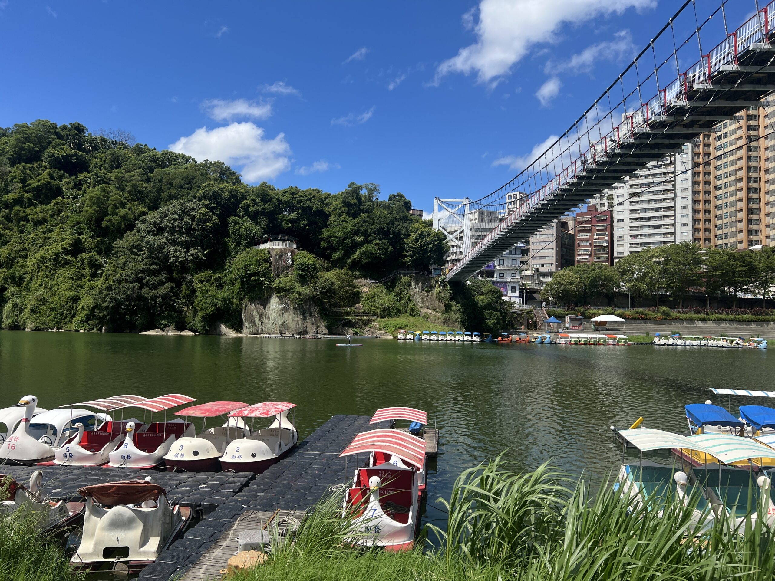 ▲新北市新店區碧潭風景區,今(5)日10時許,驚傳有民眾落水。(翻攝畫面)
