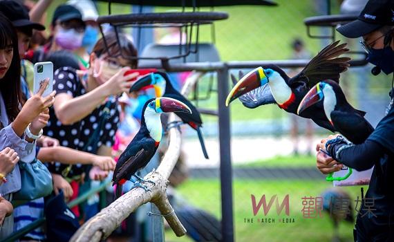 九九峰動物樂園歡慶2週年7-8日票價最低99元!9月成人票僅399元