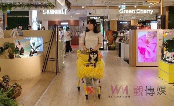 全台首創!台中勤美開放寵物牽繩落地進入商場 打造草悟道理想生活圈