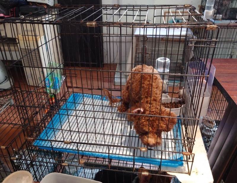 (圖/示意圖)