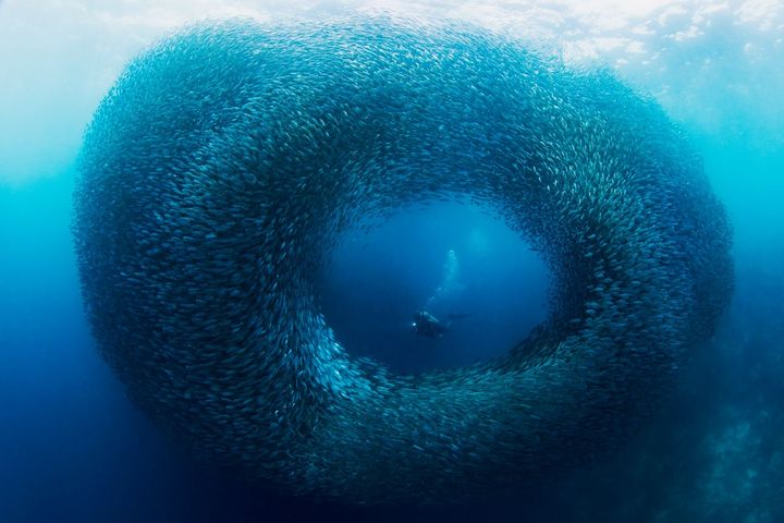 菲律賓首度舉辦世界旅遊獎頒獎典禮 獲亞洲最佳潛水、海灘、島嶼等目的地八項殊榮肯定