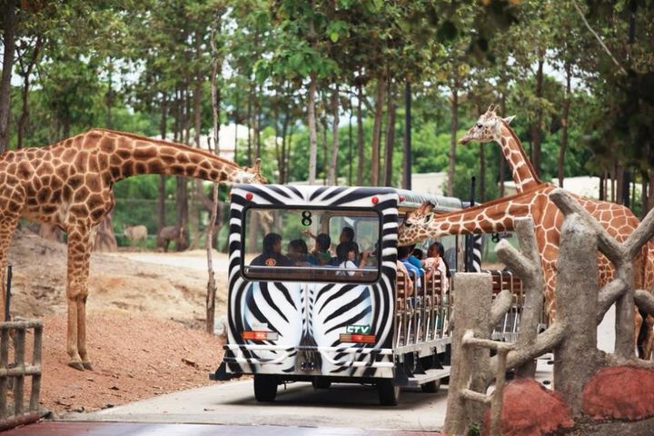 清邁夜間動物園。 圖:KKday/提供