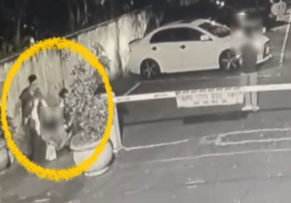 「穩賺不賠」騙不完 樹林警偕遭詐婦聯手逮2嫌 246 248240908a02