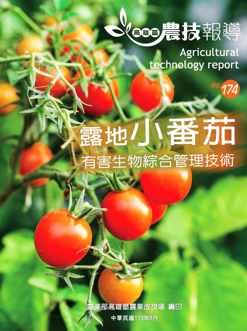 漾新聞|小果番茄防治粉蝨免病毒感染