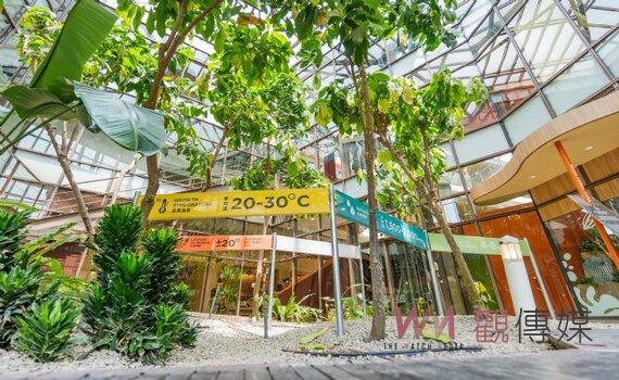 桃園77巧克力共和國觀光工廠開幕 親子假日休憩好景點