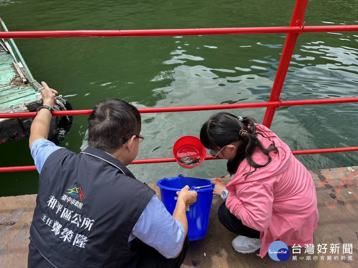 台電放流大頭鰱魚苗共計22,000尾,以維護德基水庫生態平衡。