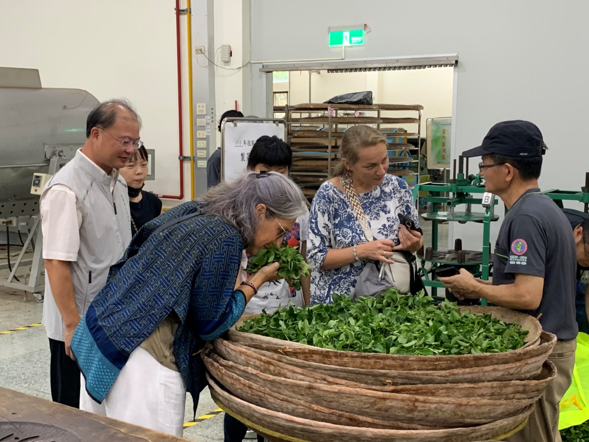 圖4、法國農產品加值協會茶葉評審從頭到尾了解臺灣茶製茶流程情形 圖4、法國農產品加值協會茶葉評審從頭到尾了解臺灣茶製茶流程情形