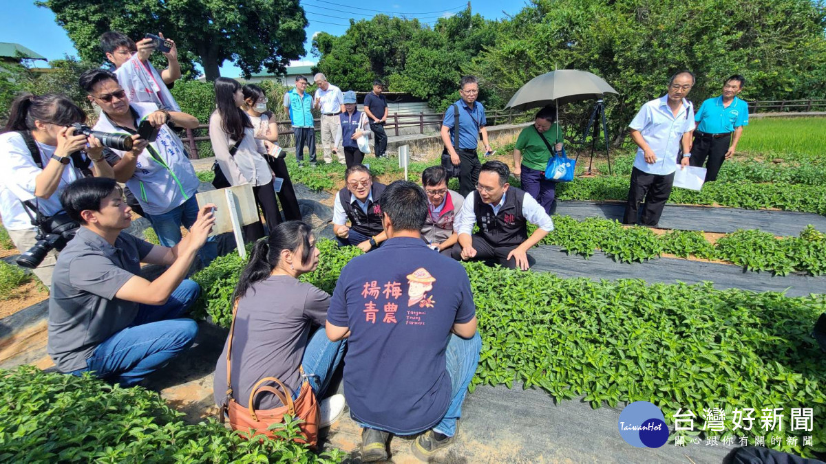 蘇副市長觀摩環保農膜示範區。<br /><br /> <br /><br />