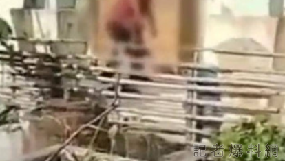 翻攝自網路