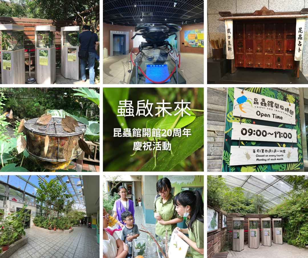 北市動物園迎昆蟲館20周年 辦嘉年華邀大家來找蟲吃蟲蛋糕