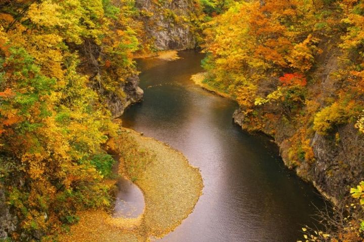 日韓賞楓/新熱點推薦!加碼超前佈署「釜山煙火節」