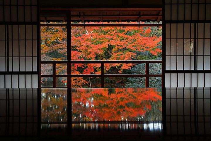 日韓賞楓/新熱點推薦!加碼超前佈署「釜山煙火節」