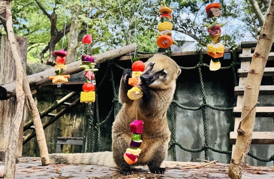壽山動物園創意送禮 動物大享中秋野營餐點