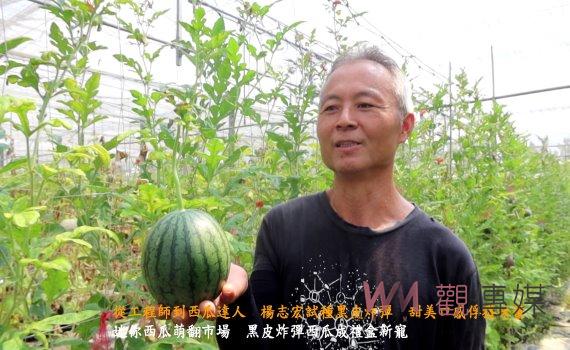 (有影片)/從工程師到西瓜達人 楊志宏試種黑皮炸彈 甜美口感俘獲味蕾
