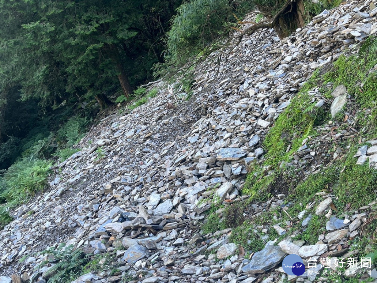 八通關越嶺線西段(東埔至觀高)步道10.3k路基流失。(圖/玉管處提供)